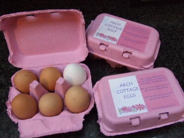 My pink egg boxes
