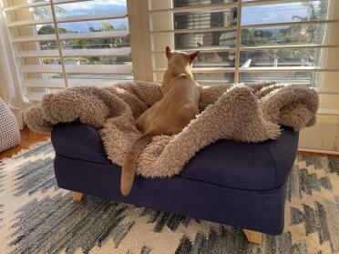 My new bed is the perfect place to enjoy our view at sunset. 