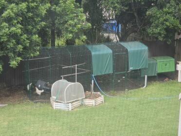 Delighted chicken coop brisbane australia 