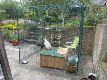 A cat pen for YoYo