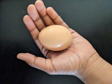 Mature Rhode Island Red's egg.
