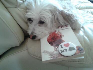 molly the dog admiring font cover of the chicken book