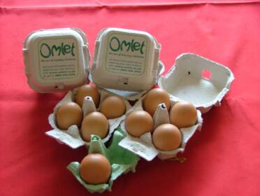 Chikki's FIRST 8 eggs