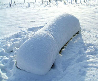 Eglu chicken coop covered in Snow