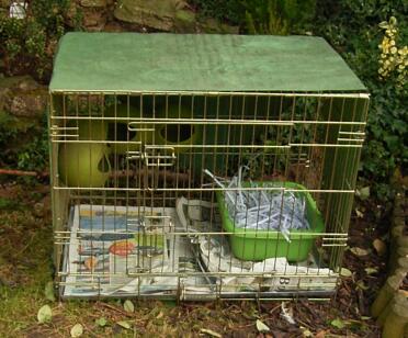 Isolation cage for broody, sick, bullying/bullied hens