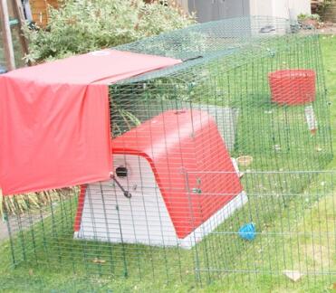 Omlet red Eglu Go plastic chicken coop in garden
