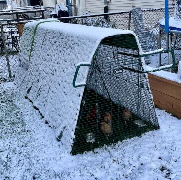 Perfect cover for rain/snow while still allowing the suns warmth!