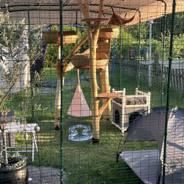 Interior cat yard.