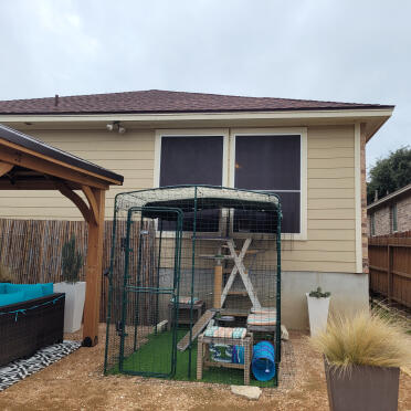 South Texas Catio