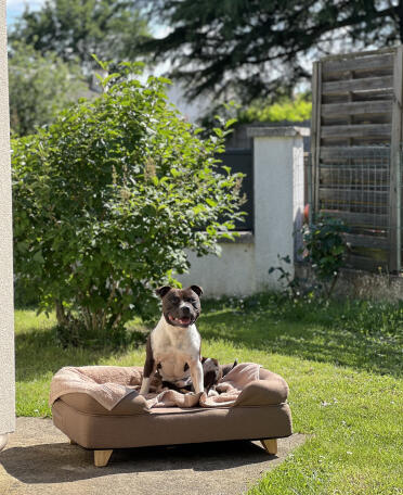 Tupac un staffie sinon rien by nythoavl