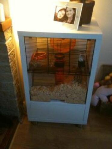 White Omlet Qute hamster cage
