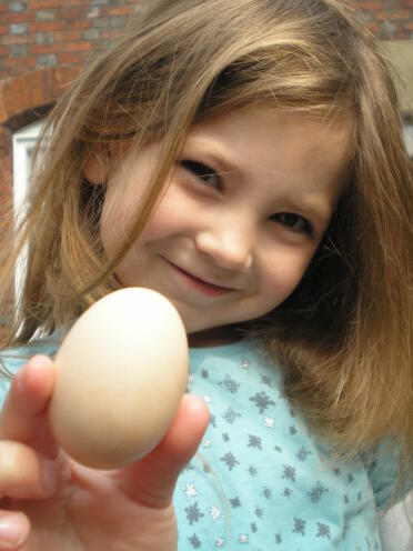 Tilly and our first egg from Lady or Lucy?