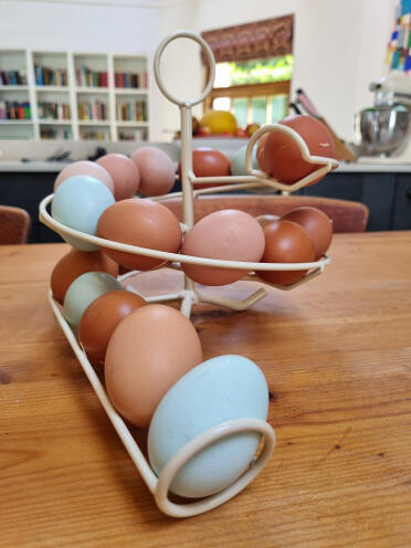 A perfect rainbow of eggs. 