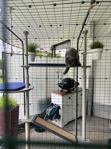 A great playground and a nice place also to rest😻😻