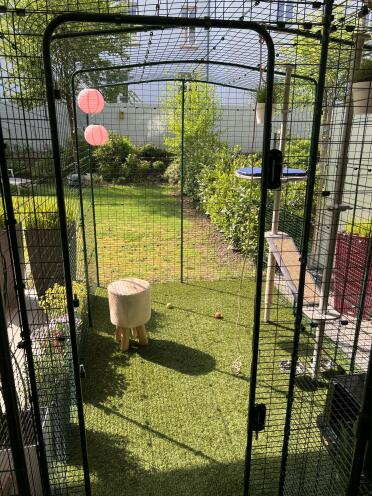 Great cat enclosure with entrance porch😻😻