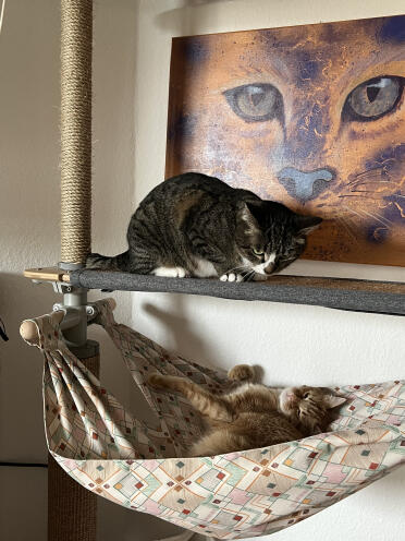 Deppie and dexter 
