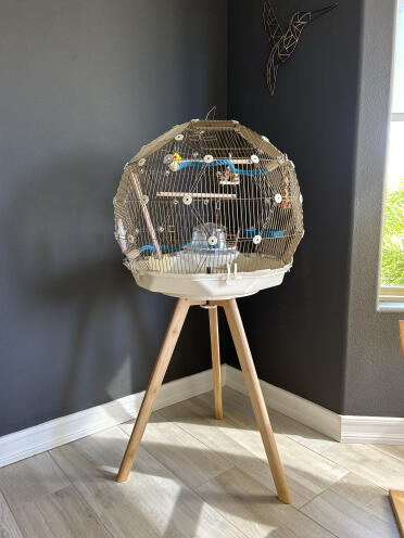 Gold geo cage