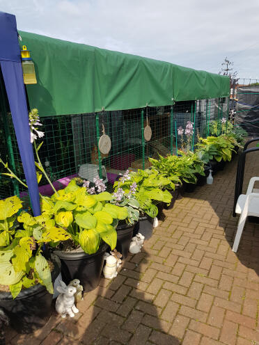7x2x2 with Omlet covers