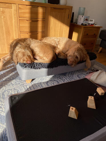 Peggy couldn’t wait for her bed to be built!