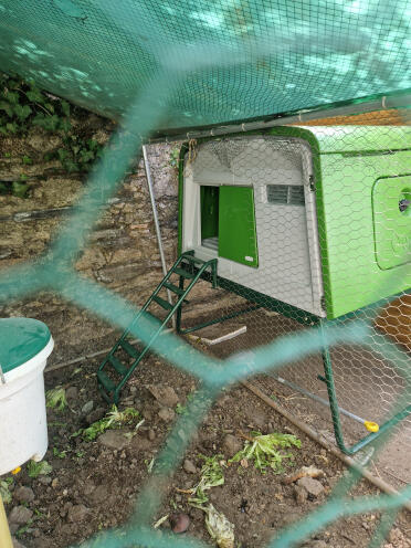 Large Eglu Cube