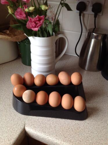 Egg ramp holds 12 eggs