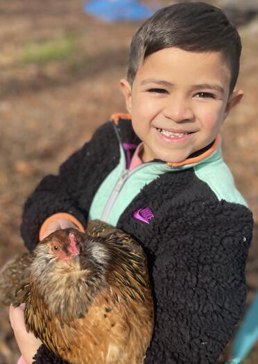 Sweetest Easter Egger “Cookie” 