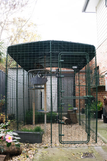 Our catio complete with Freestyle accessories