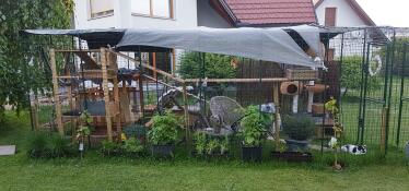 A large catio with many accessories surrounded by plants