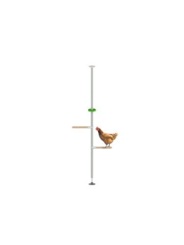 The egGonomical kit for Poletree customisable perch tree