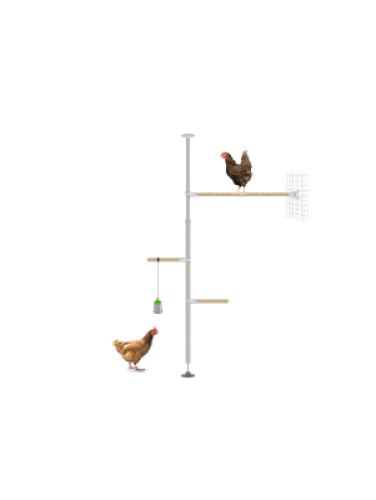 The eggcercise kit for Poletree customisable perch tree