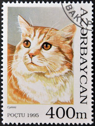 A stamp from azerbaijan with a cymric printed on it