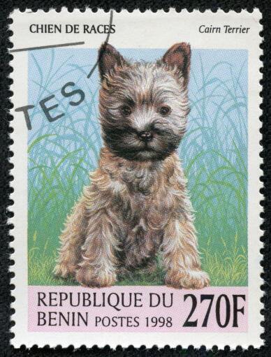 A cairn terrier on a west african stamp