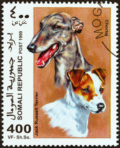 A jack russell terrier and a chortaj on an african stamp