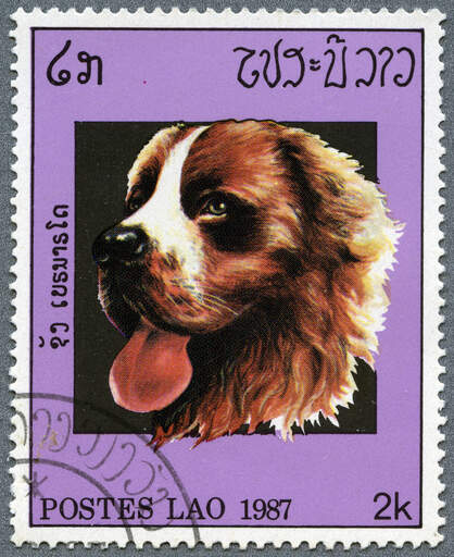 A bernese mountain dog on a southeast asian stamp