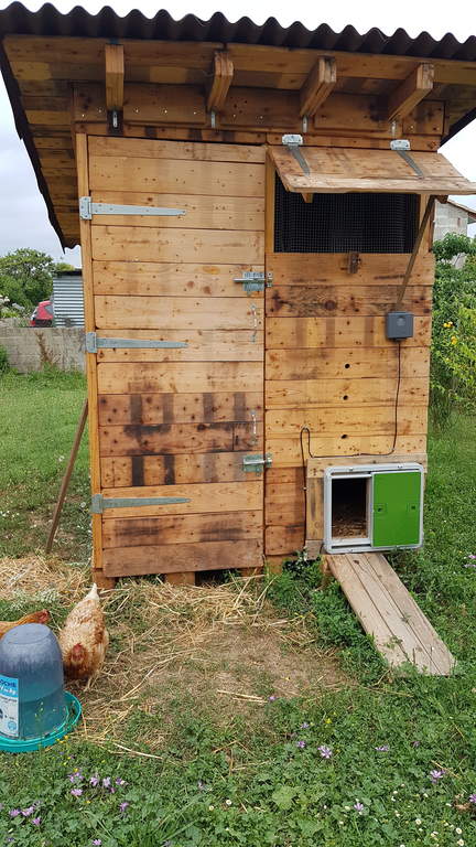 Automatic Chicken Coop Door Opener - Green