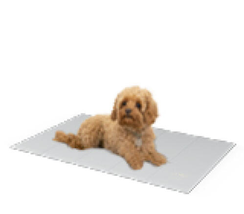 https://www.omlet.us/images/cache/500/437/dog-memory-foam-cooling-mat-omlet_13b14295.jpg