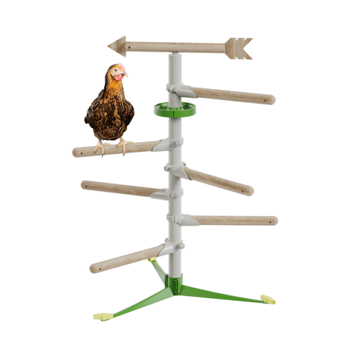 Chicken in the free standing  perch system kit