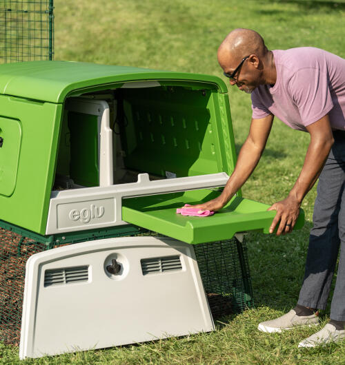 A man cleaning the droppings tray of the Eglu Cube chicken coop.