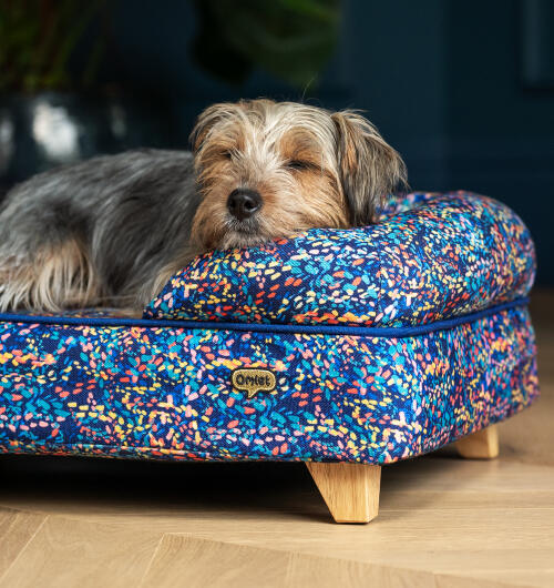 Small scruffy dog resting is head on the side of a neon patterned bolster dog bed