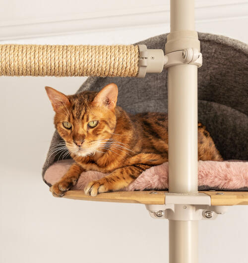 A cat sitting in the pink sheepskin platform den.