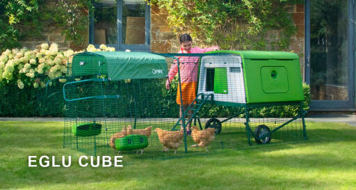 Eglu Cube chicken coop