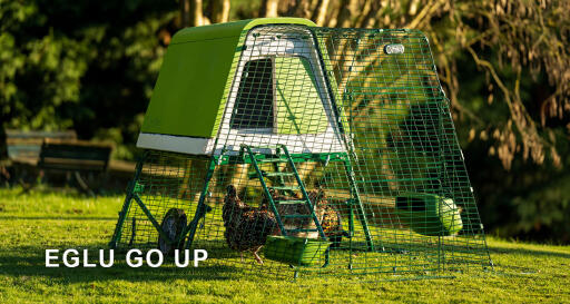 Eglu Go up chicken coop