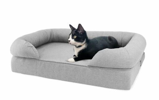 Cat laying on grey bolster bed for cats