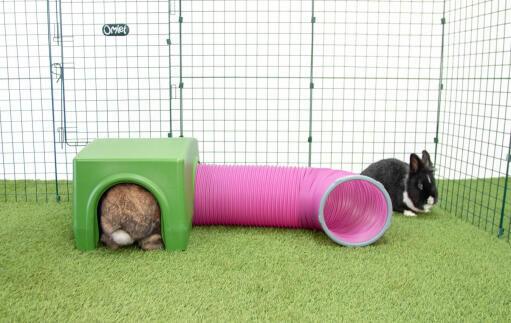 Rabbit in green Zippi shelter and play tunnel