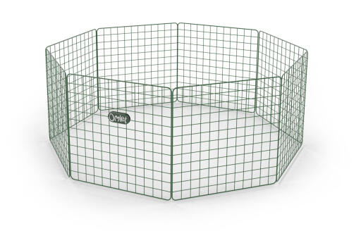 Zippi playpen starter pack - single height