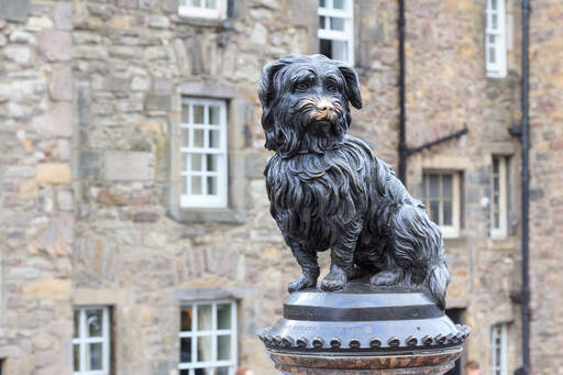 Greyfriars bobby statue of a loyal skye terrier who remained by his master's grave for fourteen years