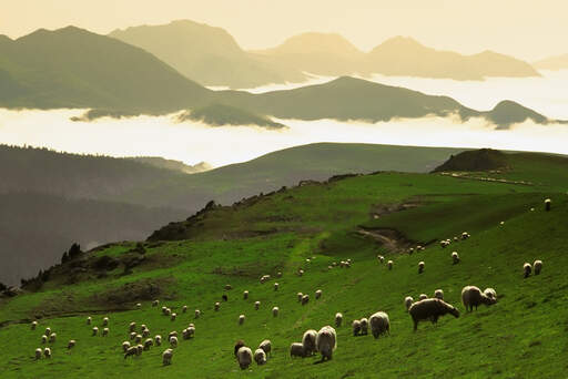 The incredible pyrenean mountains