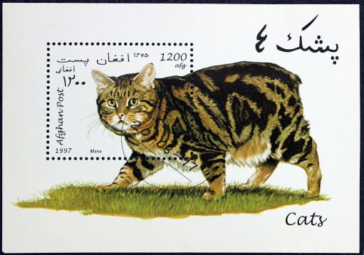 A marbled tabby manx on a postage stamp from afghanistan