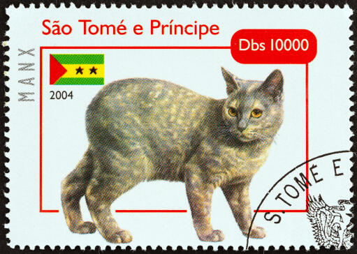 A tortie manx on a postage stamp