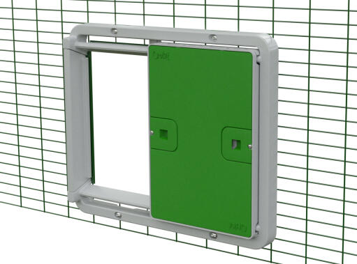 A green Autodoor attached on animal run mesh